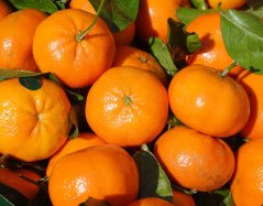 clementines-318210_1280