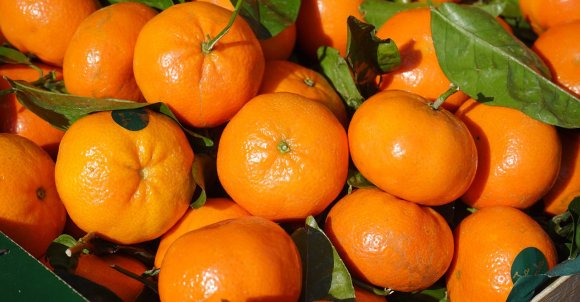 clementines-318210_1280