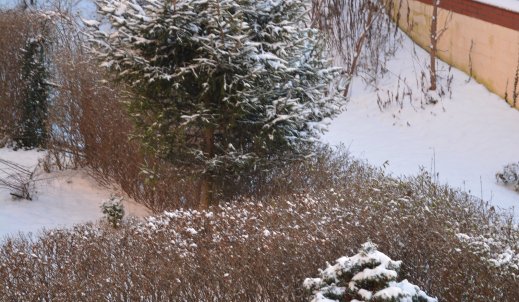 Wszyscy tęsknimy za śniegiem!