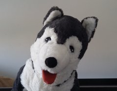 20160613_073741.jpg