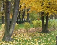 20151024_125930.jpg