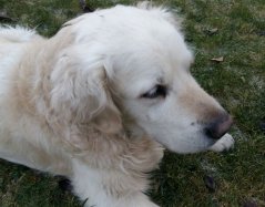 IMG20170303WA0039.jpg