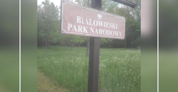 Znak Białowieskiego Parku Narodowego.