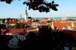 Górny widok na stary Tallinn